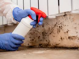 Mold Removal for HVAC Installations in Mechanicville, NY